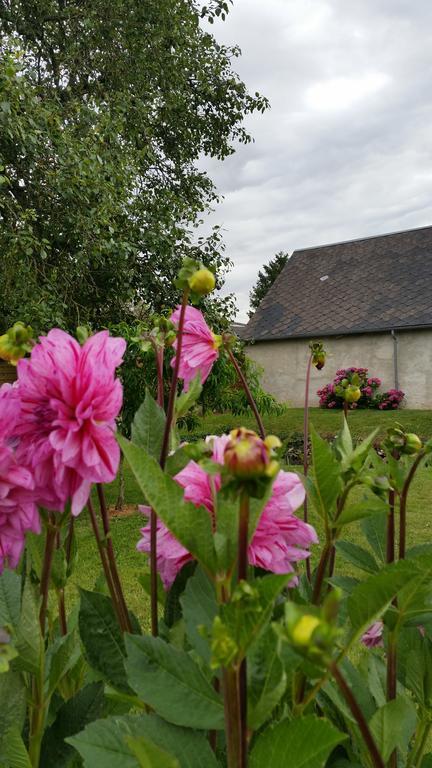 Ermenonville-la-PetiteLa Ferme Du Bois Paris住宿加早餐旅馆 外观 照片